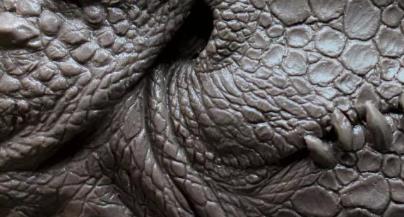 如何快速簡(jiǎn)便的雕塑出逼真的肌膚紋理